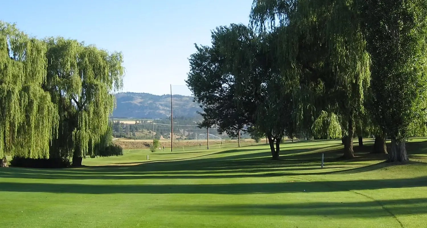 spallumcheen golfand country club vernon bc gallery 06