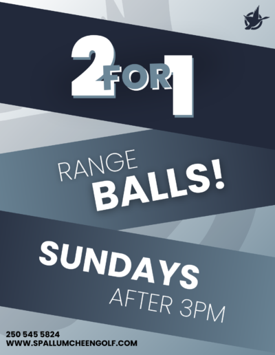 2 FOR 1 RANGE BALLS
