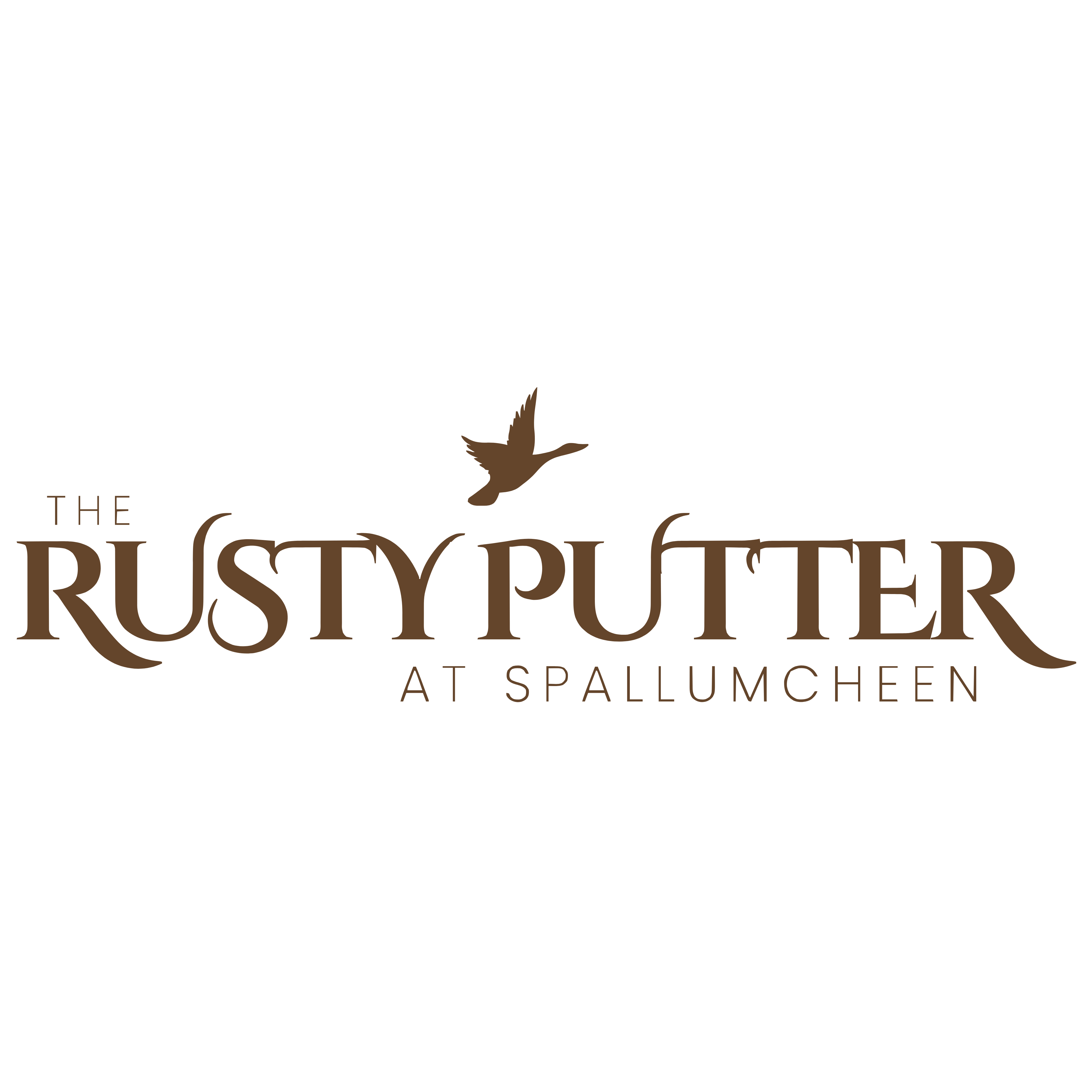 RP WORDMARK BROWN RP WORDMARK BROWN